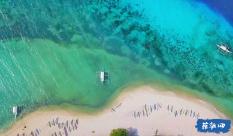 海底世界填颜色5